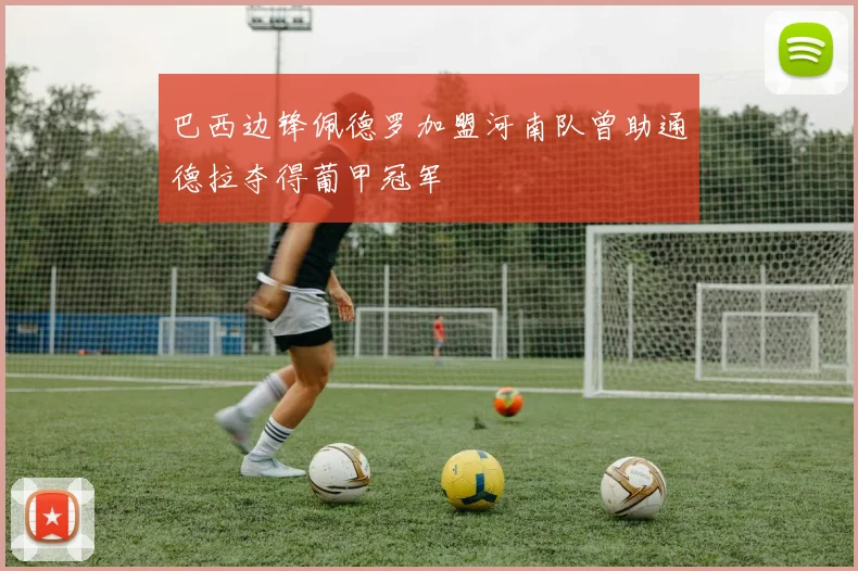 巴西边锋佩德罗加盟河南队曾助通德拉夺得葡甲冠军