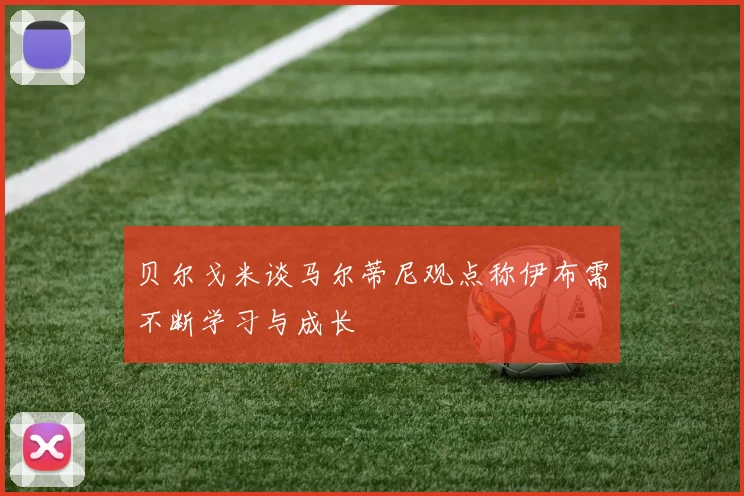 贝尔戈米谈马尔蒂尼观点称伊布需不断学习与成长