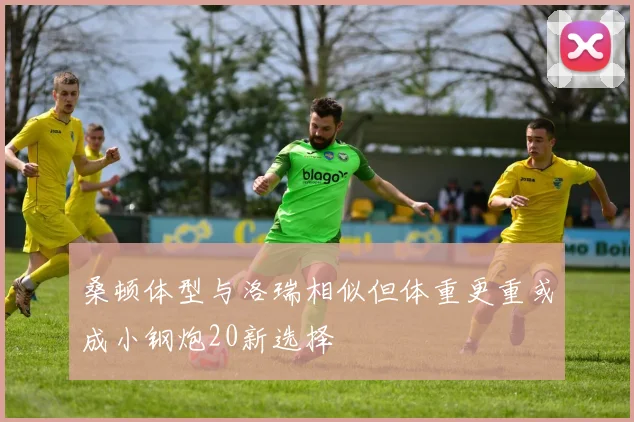 桑顿体型与洛瑞相似但体重更重或成小钢炮20新选择